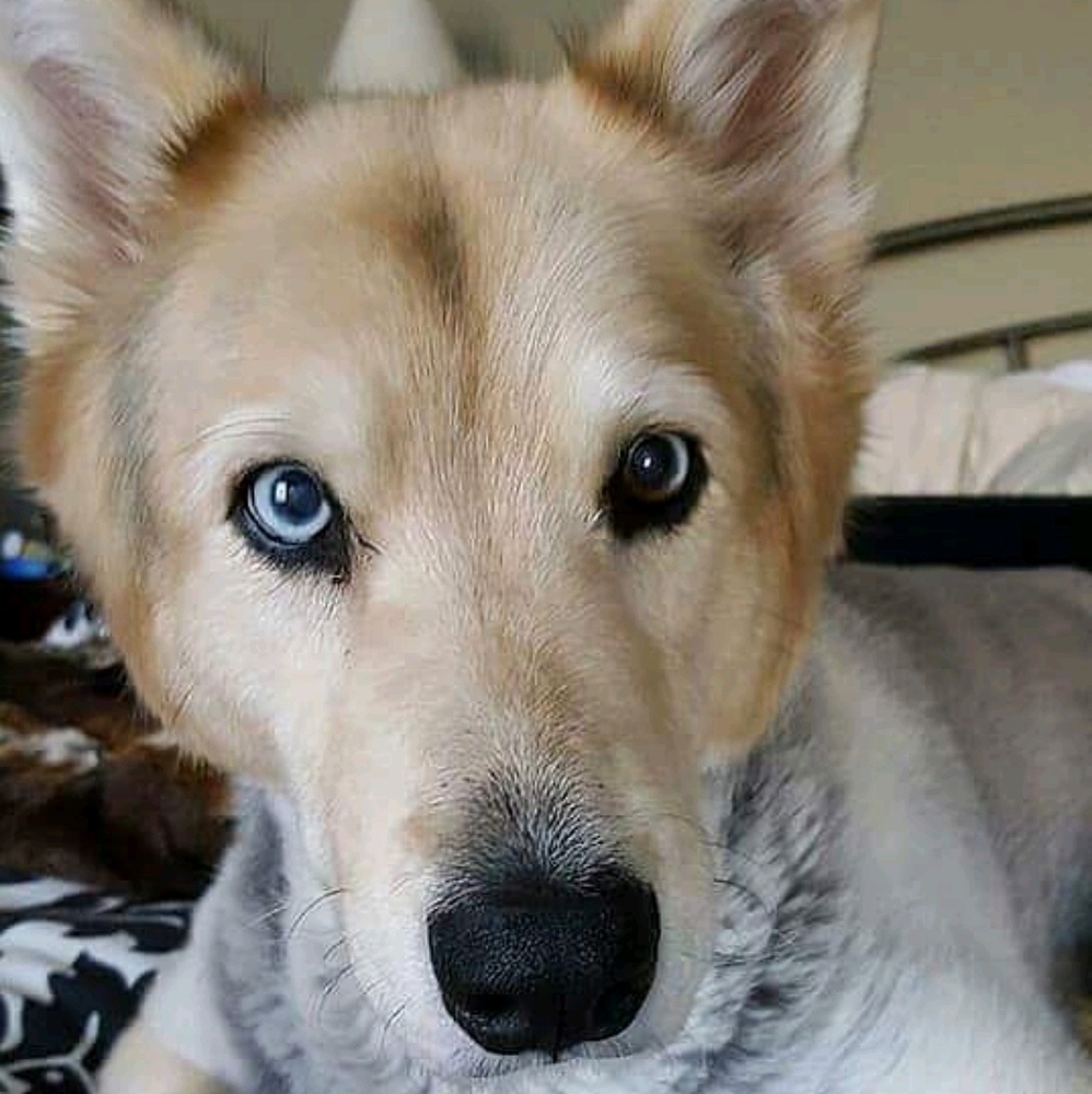 Meet your Posher, Ruby